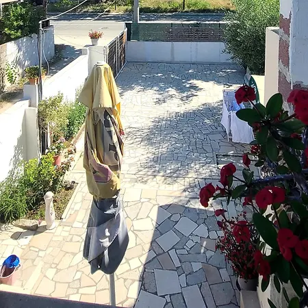 Arli&eris Vlore