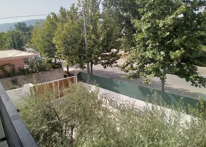 Pensjonat Arli&eris *